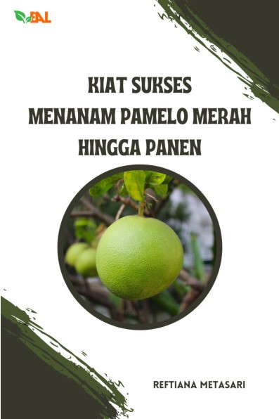 Kiat Sukses Menanam Pamelo Merah Hingga Panen